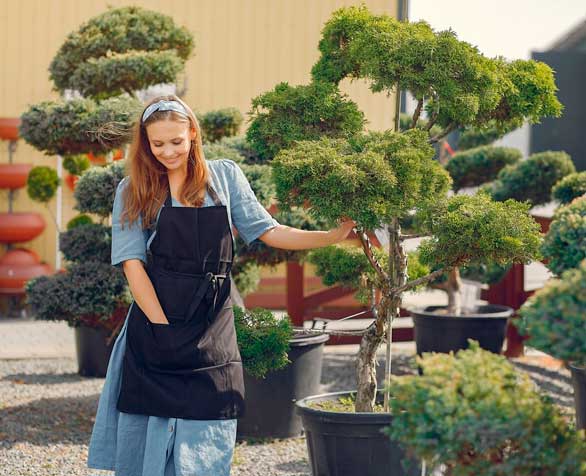 Ландшафтный дизайнер: от идеи до реализации